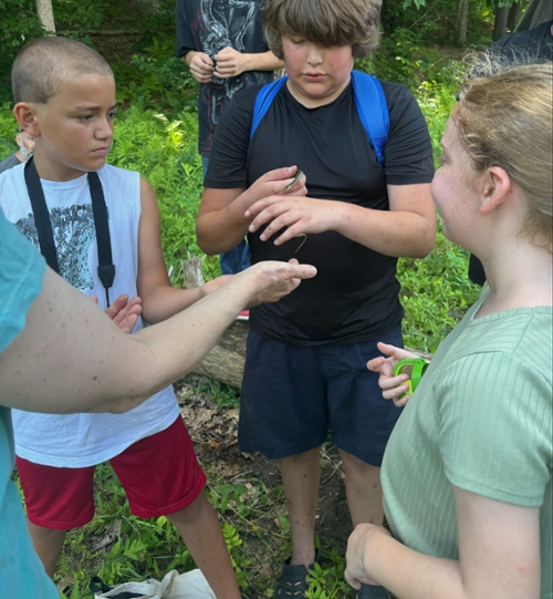 Southern Vermont Natural History Museum Presentation