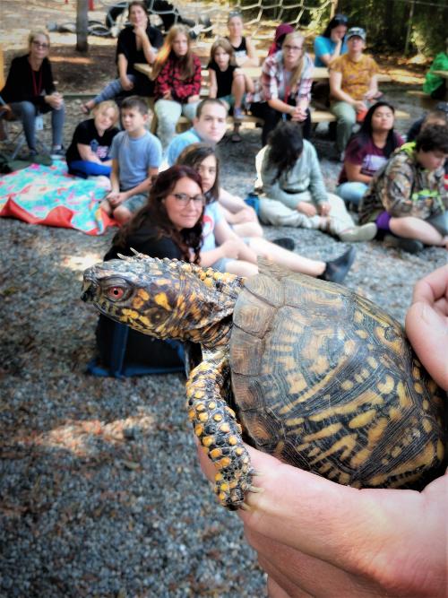 Southern Vermont Natural History Museum Presentation